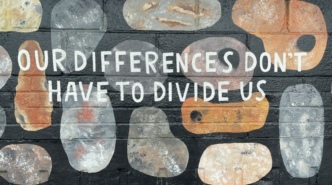 society divided by opinions